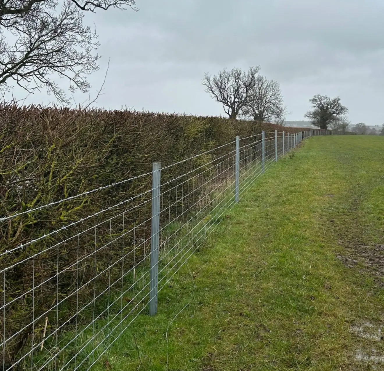 Field boundary fencing in open countryside