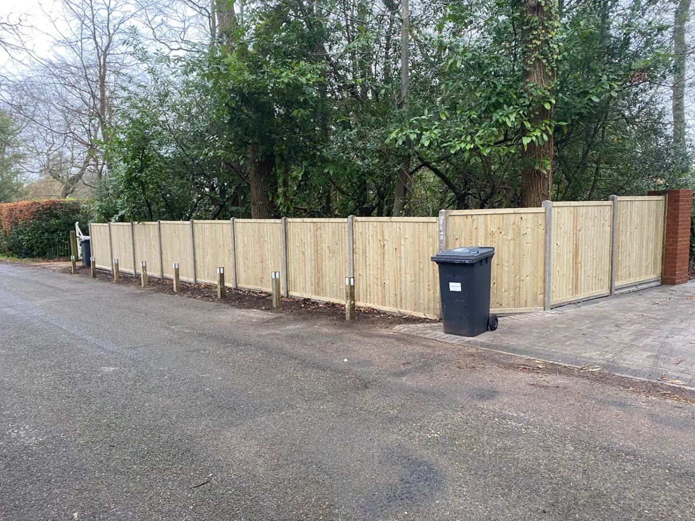 Long run of new feather edge fencing installed along a driveway boundary